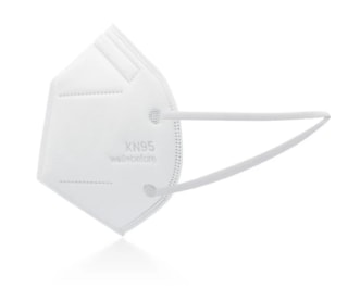 WellBefore KN95 Adjustable & Individually Wrapped