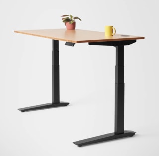 Fully Jarvis Bamboo Standing Desk