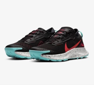 Nike Pegasus Trail 3 GORE-TEX