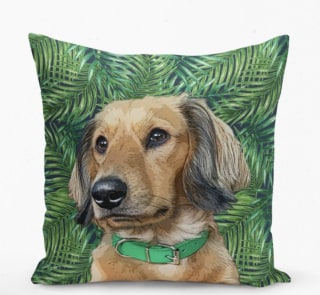 Custom Pet Art Pillow