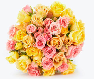 BloomsyBox Sprays of Love