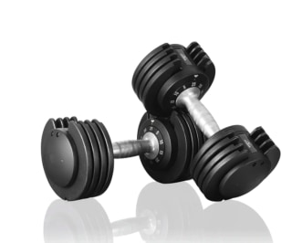 FLYBIRD 25-Pound Adjustable Dumbbell