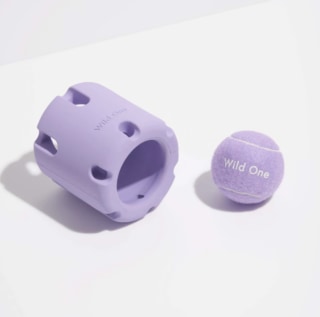 Wild One The Tennis Tumble Puzzle