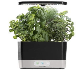 AeroGarden Harvest