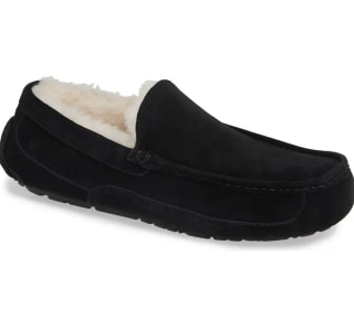 Ugg Ascot Slipper