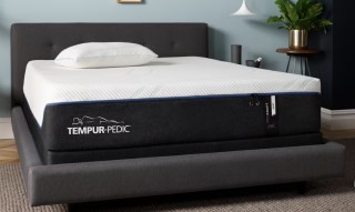 Tempur-Pedic TEMPUR ProAdapt Mattress