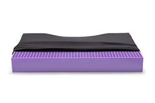 Purple Double Seat Cushion