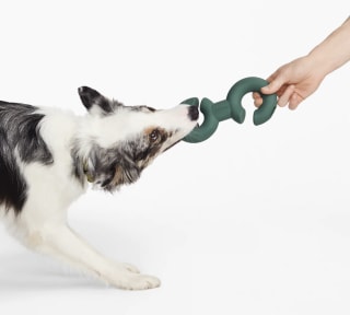 Fable Twin Falcon Toy