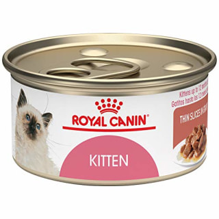 Good wet cat food brands hotsell