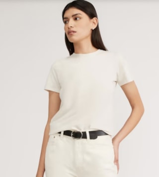 Everlane The Organic Cotton Crew Tee