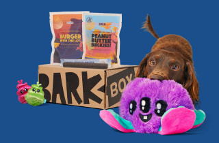 Barkbox