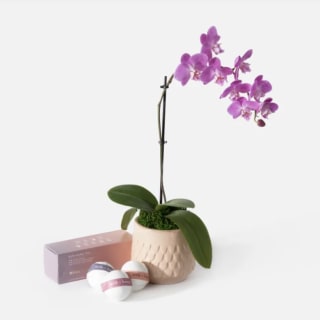 UrbanStems The Mom's Night In