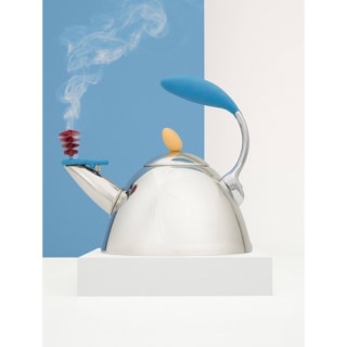 Stainless Steel Spinning Whistle Tea Kettle