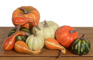 Artificial Pumpkins and Gourds Bowl and Vase Filler