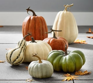 Pottery Barn Faux Pumpkins