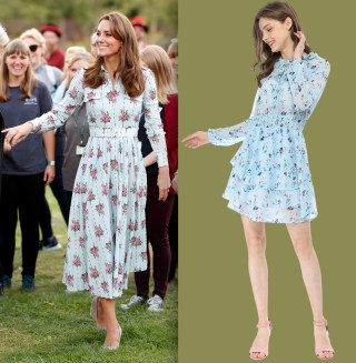 Floral Printed Chiffon Mini Dress