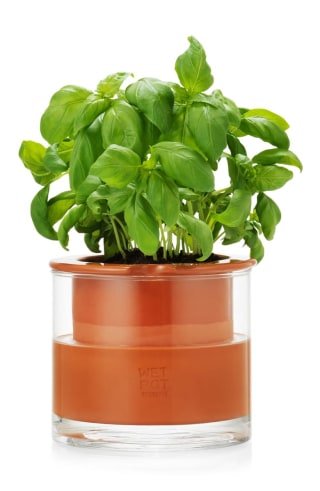 Moma Design Self-Watering Pot