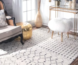 Clair Southwestern Gray Area Rug