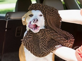 Soggy Doggy Super Shammy