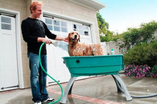 Booster Bath Elevated Dog Bathing and Grooming Center