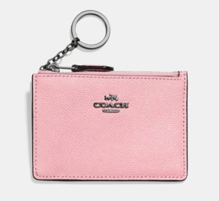 Coach Mini Skinny ID Case