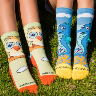 Sock Panda Kids Subscription