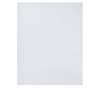 School Smart Graph Paper