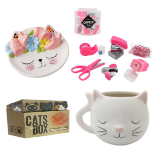 StreamlineNYC School Supplies Desk Bundle