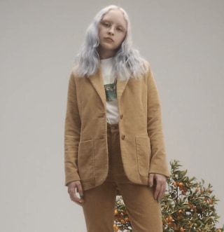 Levi's Autumn Blazer