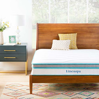 Linenspa 10-inch Memory Foam Mattress