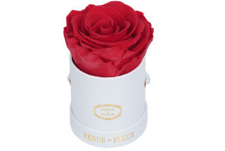 Eternity De Venus Le Mini Round Eternity Rose