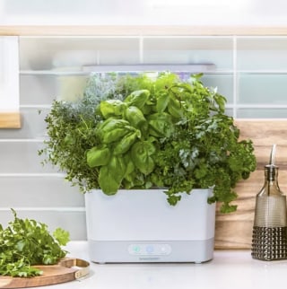AeroGarden Harvest Indoor Garden with Gourmet Herb Seed Pod Kit