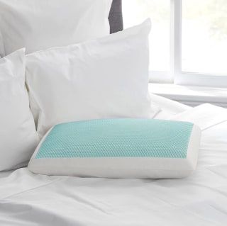 Sealy Memory Foam Gel Pillow