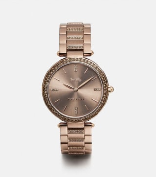 Coach Park Watch