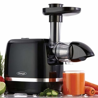 Omega Cold Press 365 Horizontal Slow Juicer
