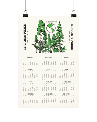 National Parks Year at a Glance 2021 Calendar