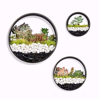Ecosides Round Indoor Wall Succulent Hanging Planter, Metal Decorative Freestanding Mount Holder with Glass for Air Plants, Faux Flower,Set of 3 (Bronze)