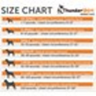 ThunderShirt Dog Anxiety Shirt