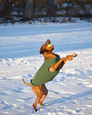 Gooby Stretch Fleece Dog Vest - Pink, 6X-Large - Pullover Fleece Dog Sweater - Warm Dog Jacket Winter Dog Clothes Sweater Vest - Dog Sweaters for Small Dogs to Large Dogs for Indoor and Outdoor Use