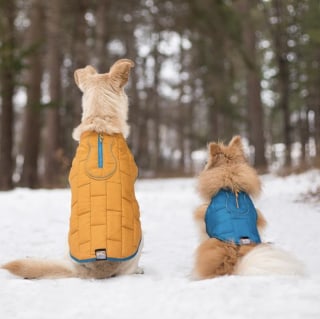 Kurgo Loft Reversible Insulated Quilted Coat