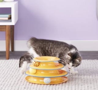 Tower of Tracks Cat Toy