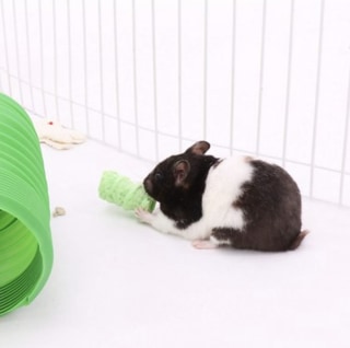 Rice Pops Small Animal Chew Treat