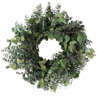 18" Preserved Eucalyptus Wreath
