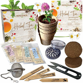 Herbal Tea Indoor Garden Seed Starter Growing Kit