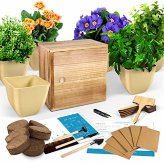 Indoor Herb Garden Starter Kit