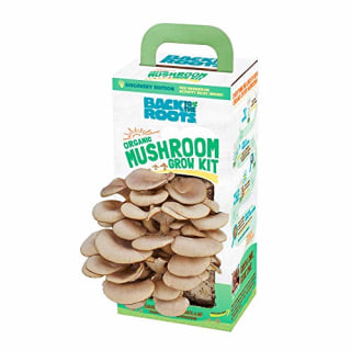 Back to the Roots Organic Mushroom Growing Kit
