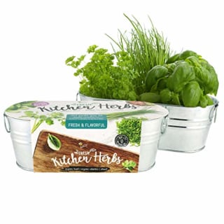 Buzzy Herb Gardening Kit