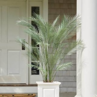 Grandin Road Tropical Palm Tree