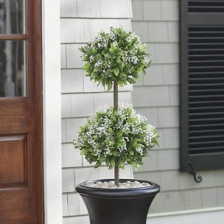 Grandin Road Waxleaf Privet Double Ball Topiary