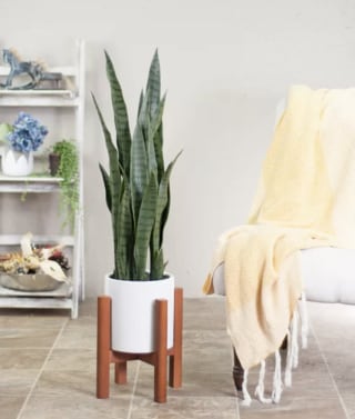 Brandenburg Ceramic Pot Planter